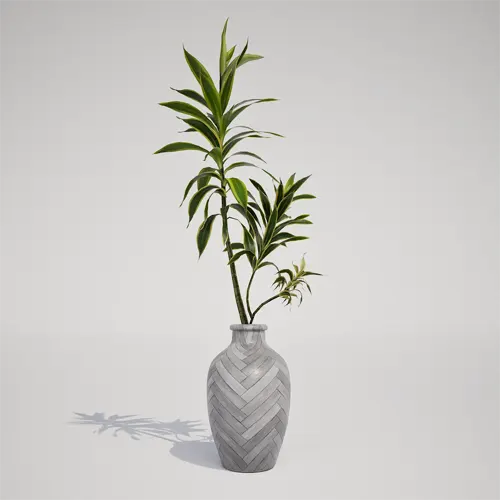 modern indoor plant 3D model