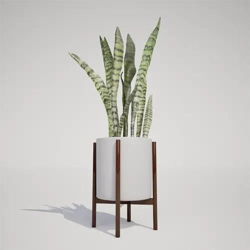 modern indoor plant model
