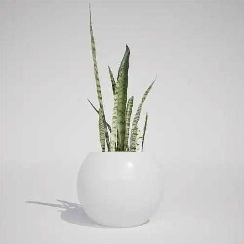 modern indoor plant model
