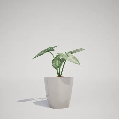 indoor potted plant asset