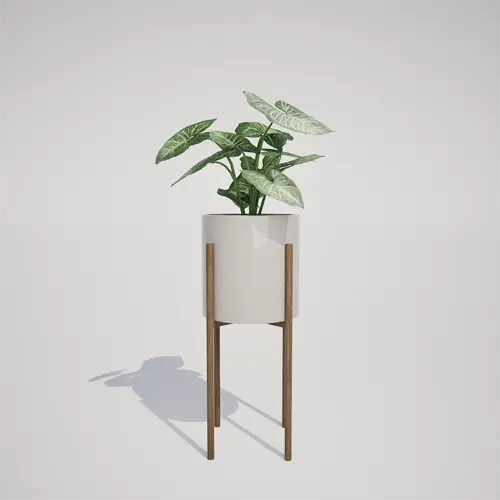 Arrowhead plant in modern stand