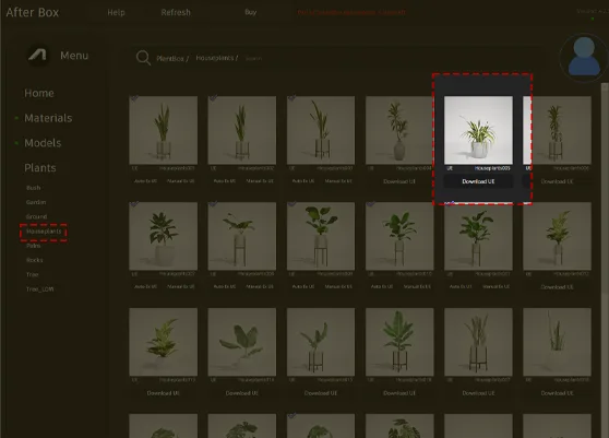 spider plant 3d model
