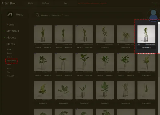 variegated houseplant asset