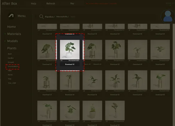 Monstera deliciosa 3D model