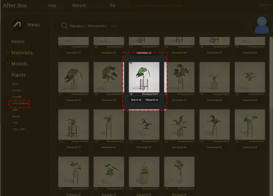 Monstera Deliciosa 3D model