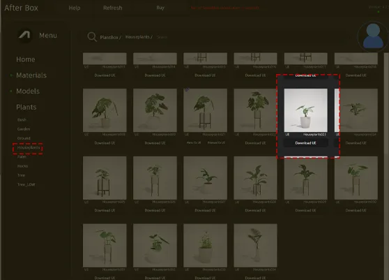 Syngonium arrowhead plant model