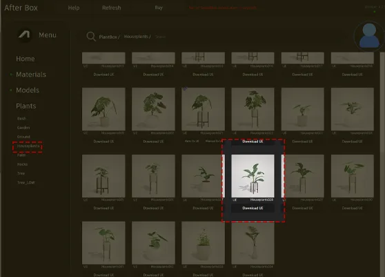 Rattlesnake Calathea 3D model