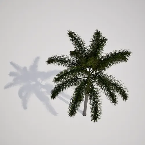 palm tree 3D model