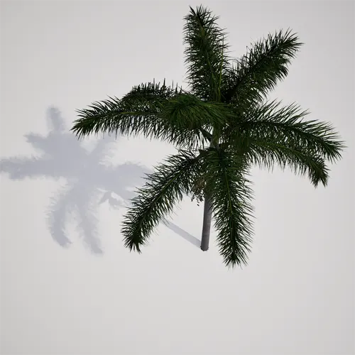 palm tree 3d model