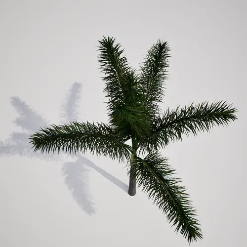 tropical palm model
