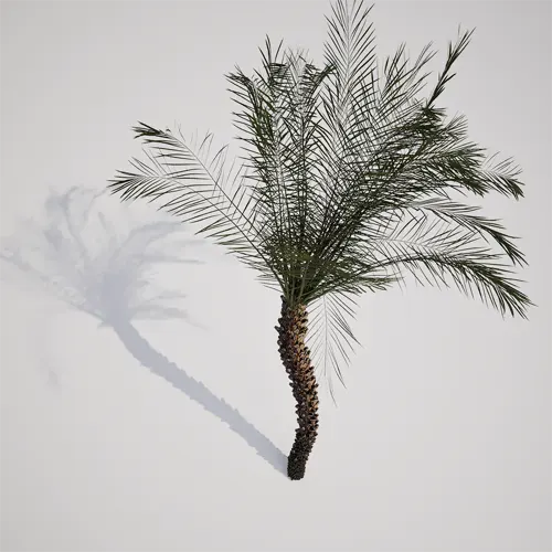 tropical vegetation UE5