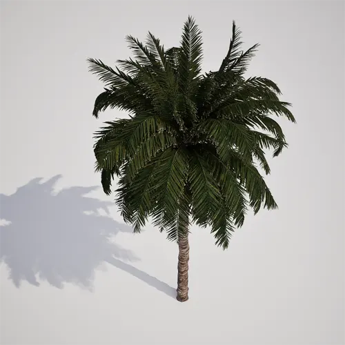 Unreal Engine palm tree
