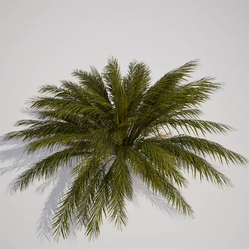 Unreal Engine 5 foliage