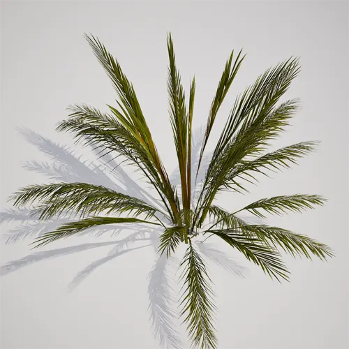 Unreal Engine 5 foliage
