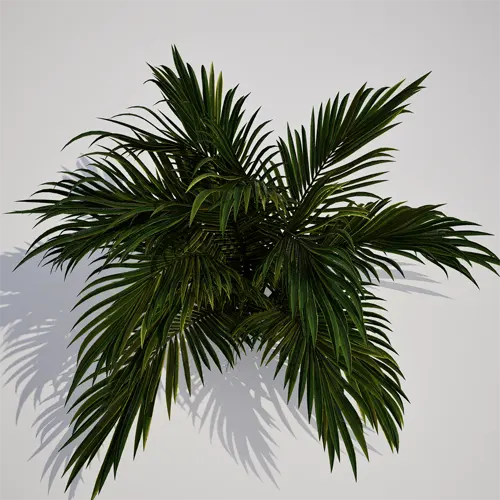 potted palm asset