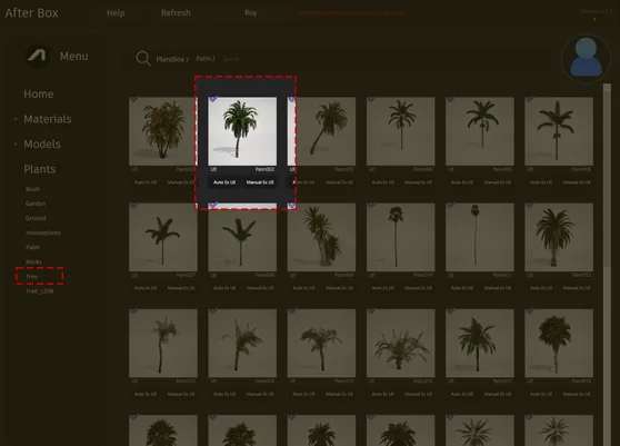 tropical palm asset