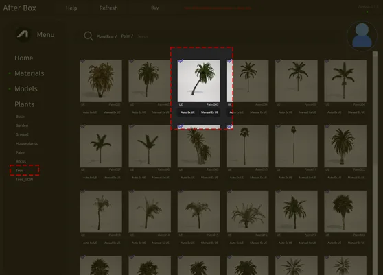 slanted tropical palm