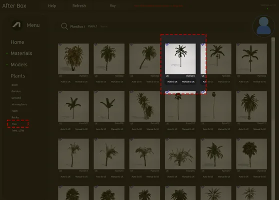 tropical palm asset