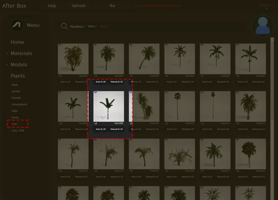 palm tree asset