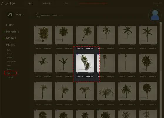 multi-stemmed tropical palm
