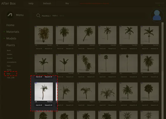 slender palm 3D asset