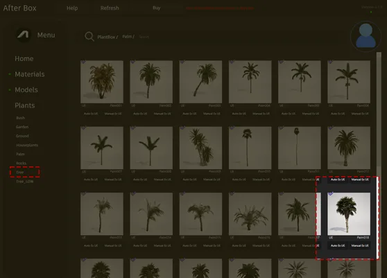 fan palm model