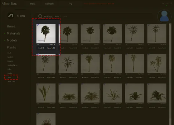 fan-leaf palm 3d model