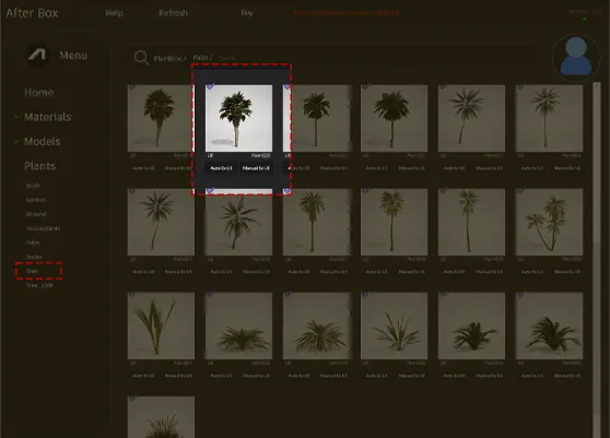 fan palm asset