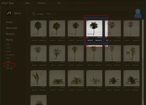 tropical palm asset