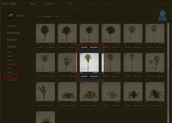 tall palm 3d asset