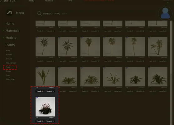 ornamental clumping grass