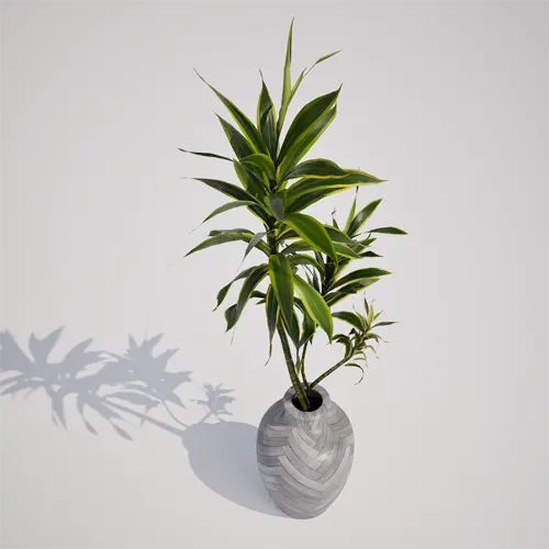 potted houseplant asset