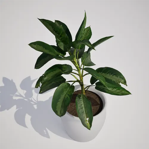 potted houseplant asset