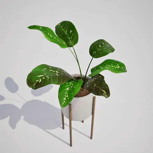 potted houseplant asset