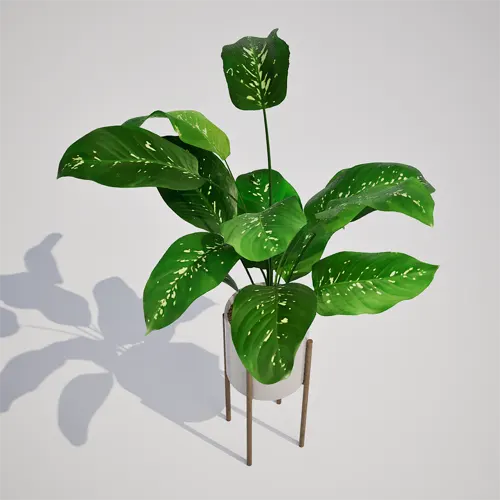 dieffenbachia 3d model