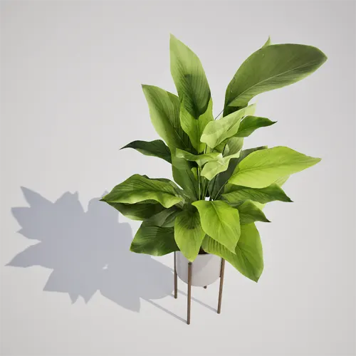 houseplant 3d model