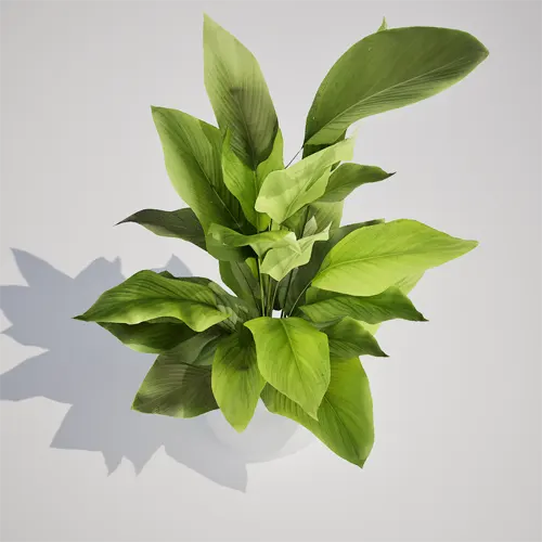 houseplant 3d model