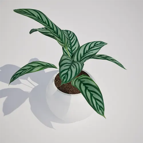 potted houseplant asset