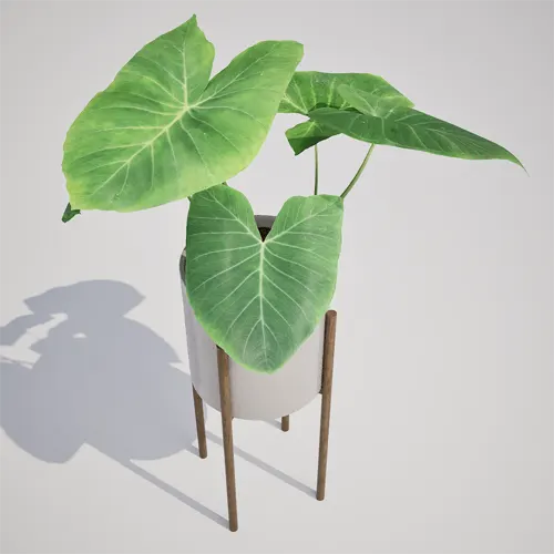 potted houseplant asset