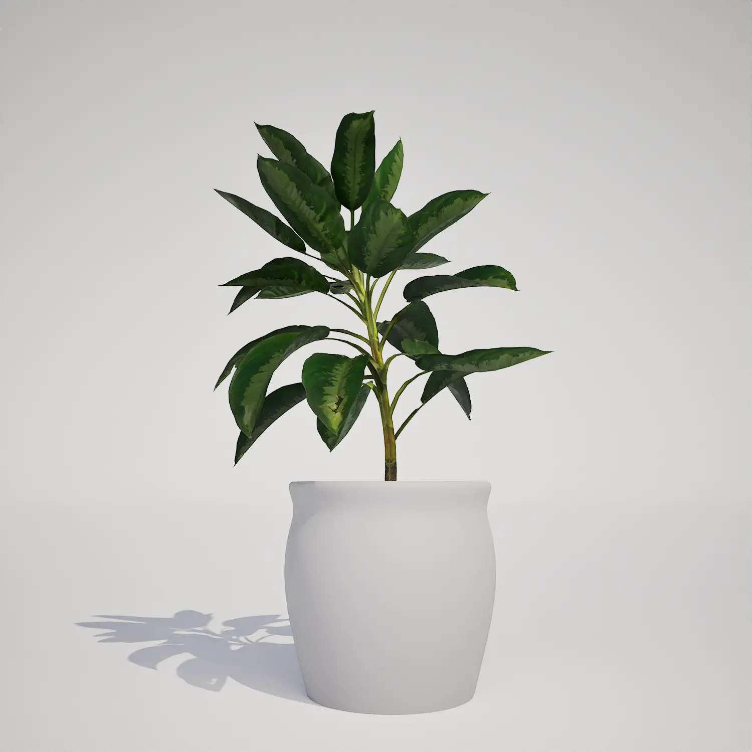 Free Potted Houseplant 3D Asset for Unreal Engine