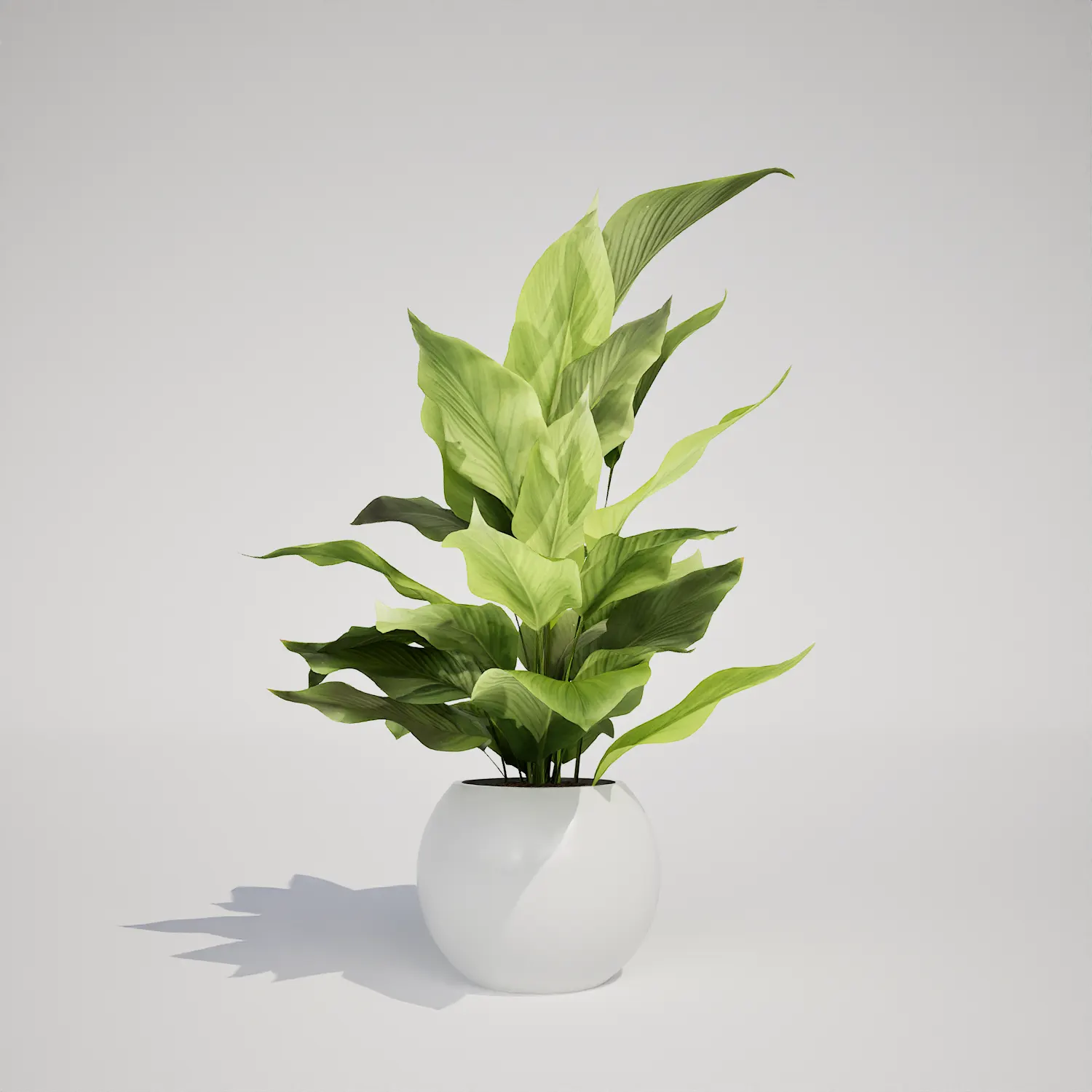 Free Potted Houseplant 3D Asset for Unreal Engine
