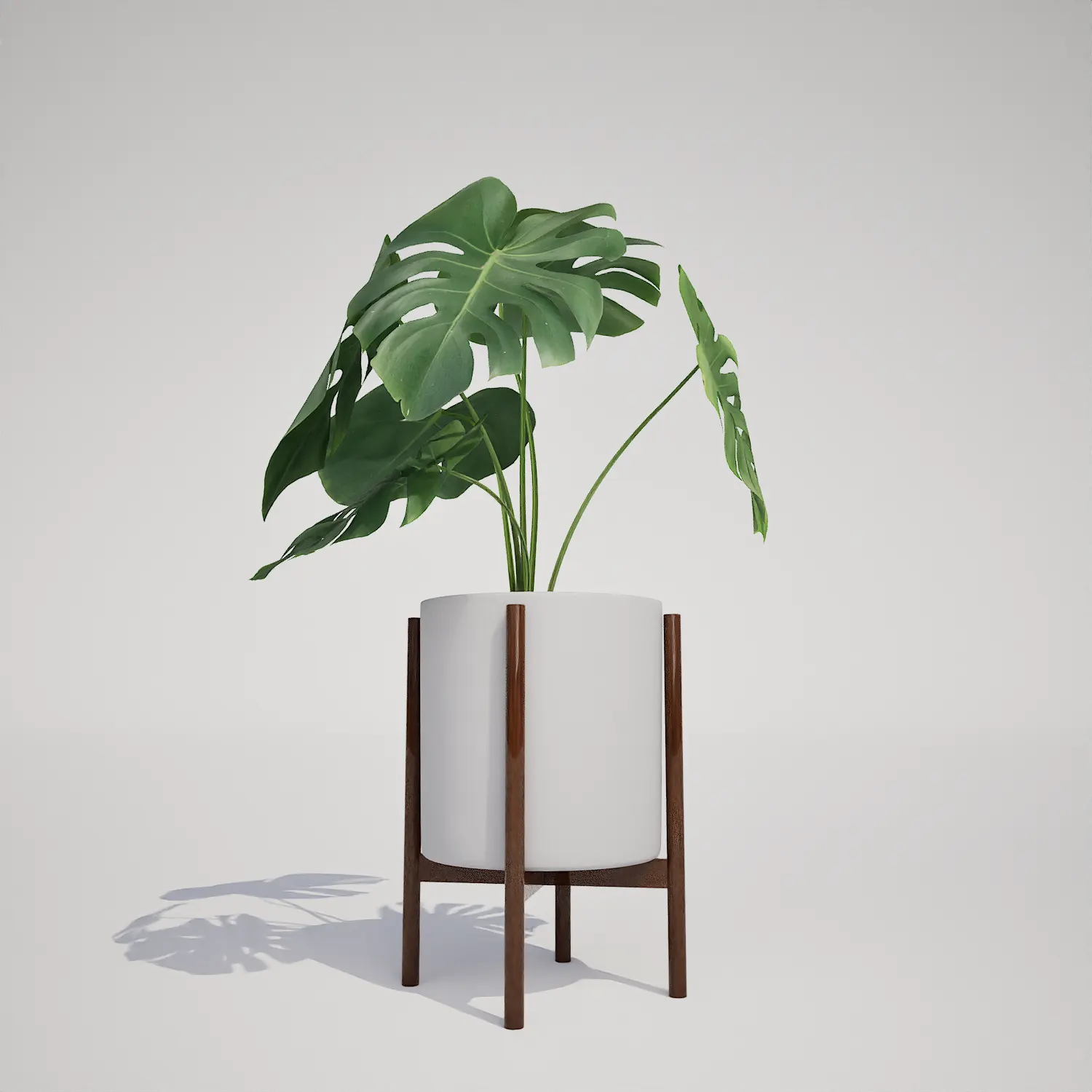 Potted Monstera Deliciosa for Unreal Engine | Free