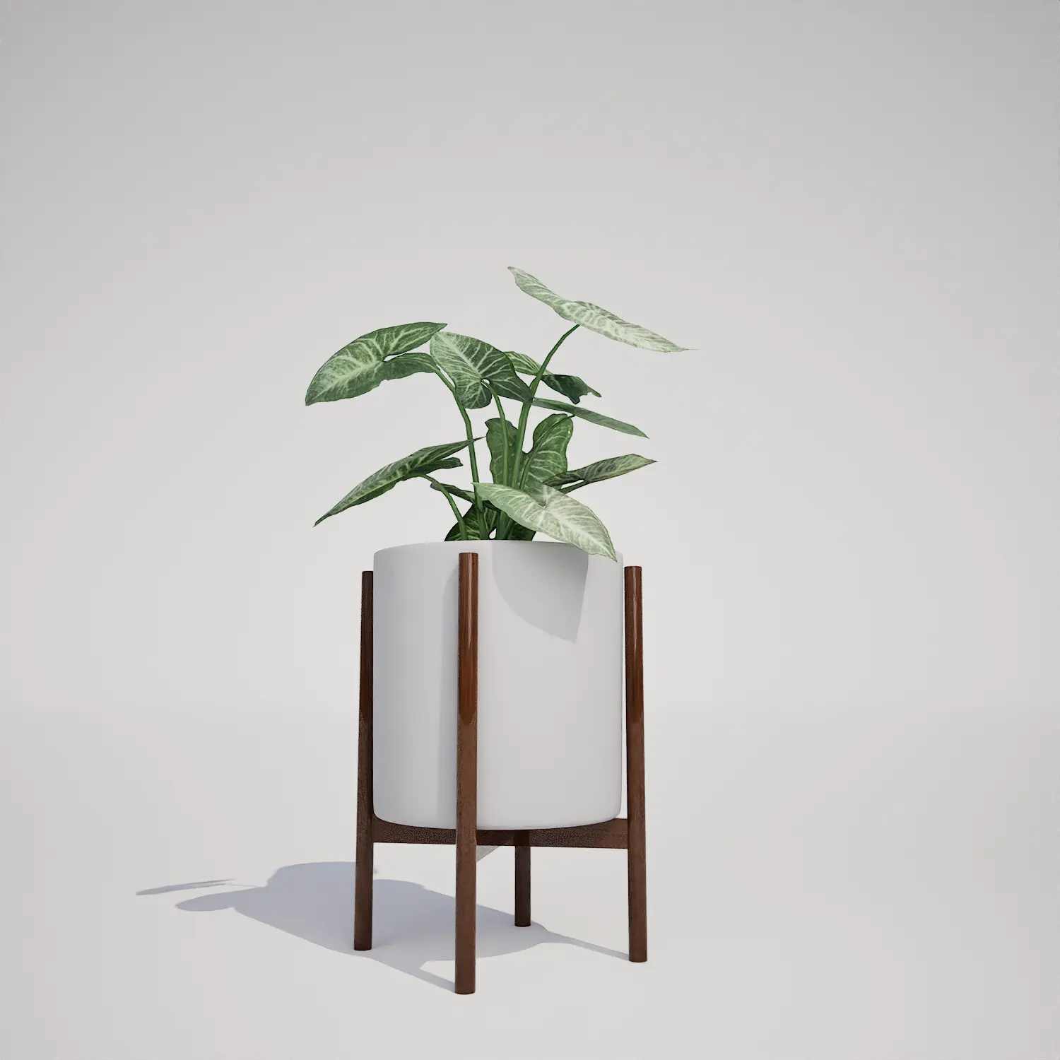 Potted Syngonium Houseplant Free 3D Asset