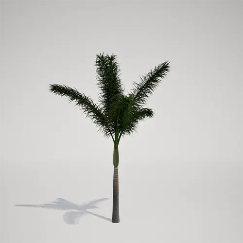 palm tree asset