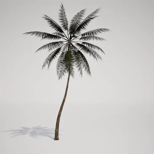 tropical palm 3d asset