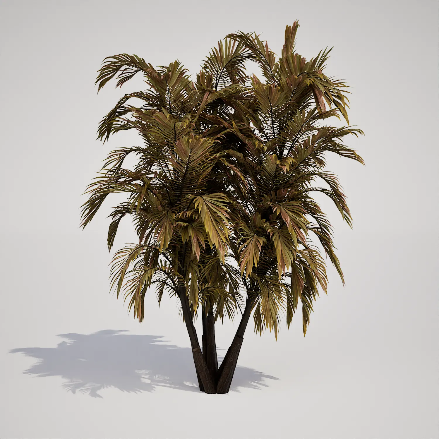 Free Multi-Stemmed Palm 3D Asset for Unreal Engine