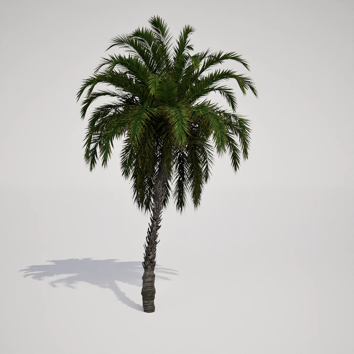Free Classic Tropical Palm 3D Asset for Unreal Engine