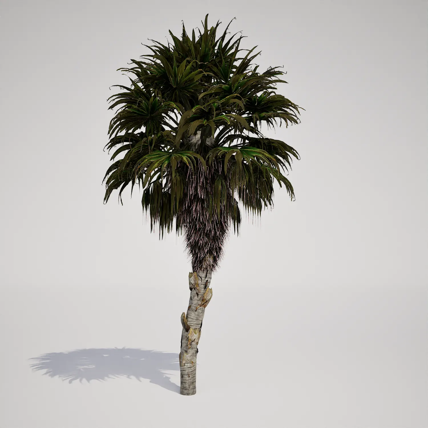 Free Weathered Fan-Leaf Palm Asset for Unreal Engine